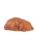 Cocker Spaniel Lying Down in Terracotta